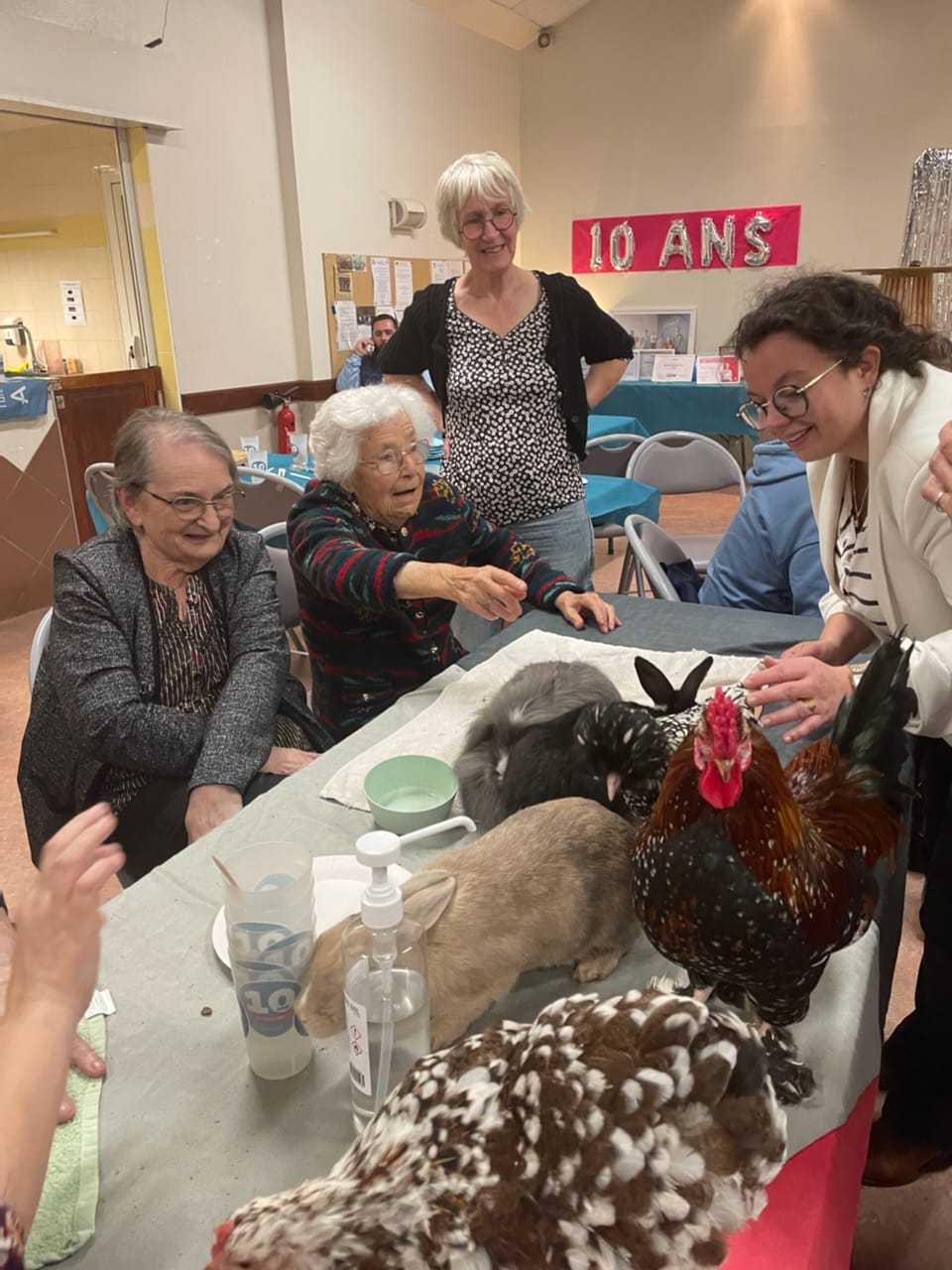 -8986177296140619765