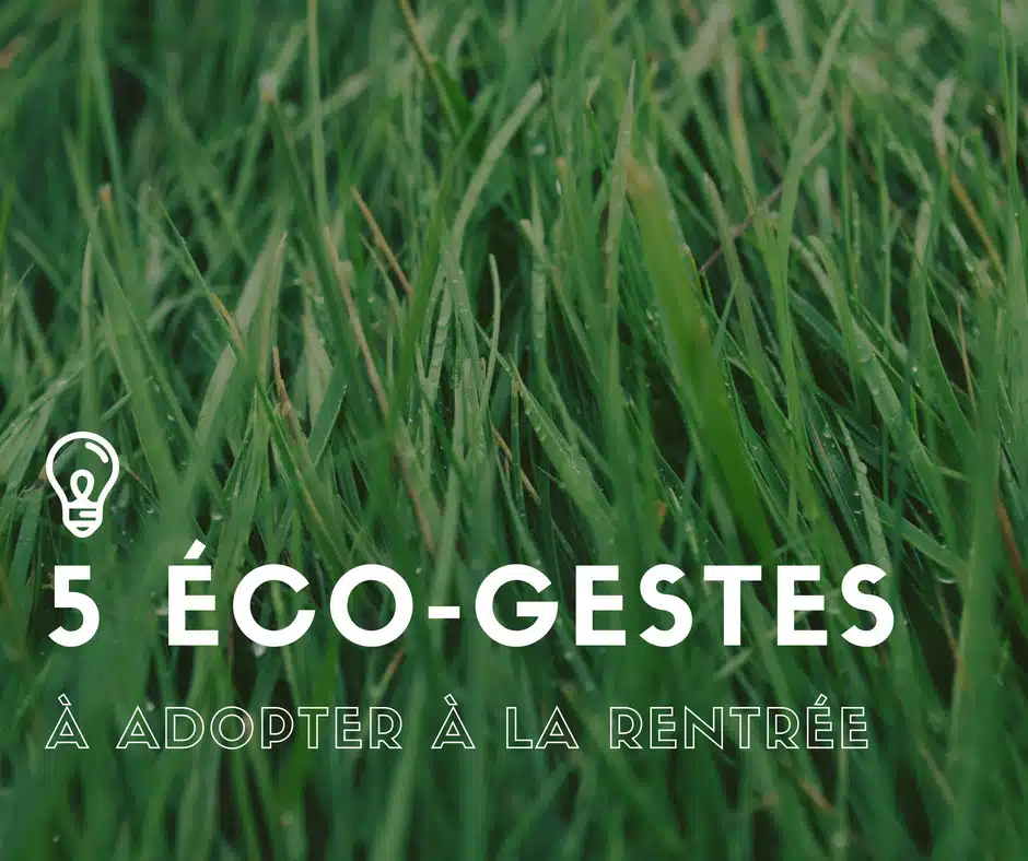 Bonnes résolutions : une rentrée écoresponsable !